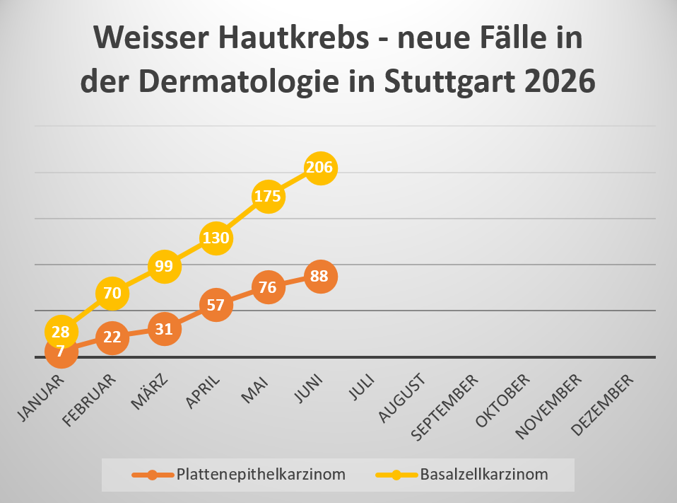 2026-07-17 13_43_49-Hautkrebsstatistik Juni26.docx - Word (Fehler bei Produktaktivierung)